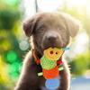 PLATZ PET SUPPLIES FUN Zabawka dla psa Caterpie Baby Teaser i
