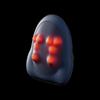 AUX Neck and Back Massage Cushion with Heat CN Plug (adapter Included)