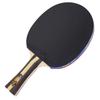 DHS H3002 3-Star Shakehand Table Tennis Racket
