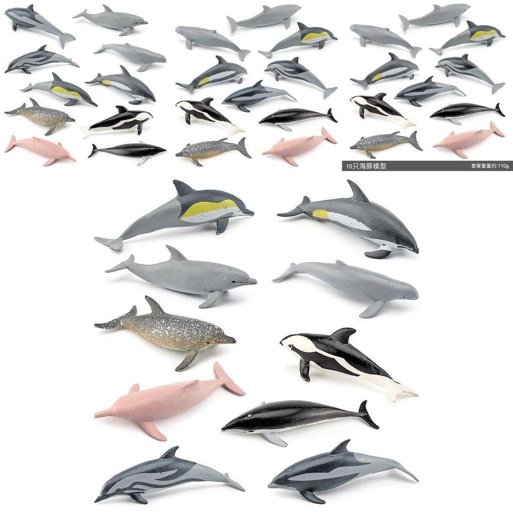 Realistic Pvc Dolphin Model Figurine For Kids And Collectors Non-animated Display Piece
