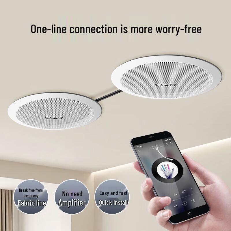 SAST D30 Wireless Bluetooth Embedded Ceiling Speaker System