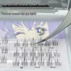 Precision Dual-Tip Stainless Steel Eyelash Tweezers & Beauty Scissors