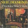 7inch Record NEIL DIAMOND  If You Know What I Mean CBS4398 CBS 1976 Netherland Pop Used
