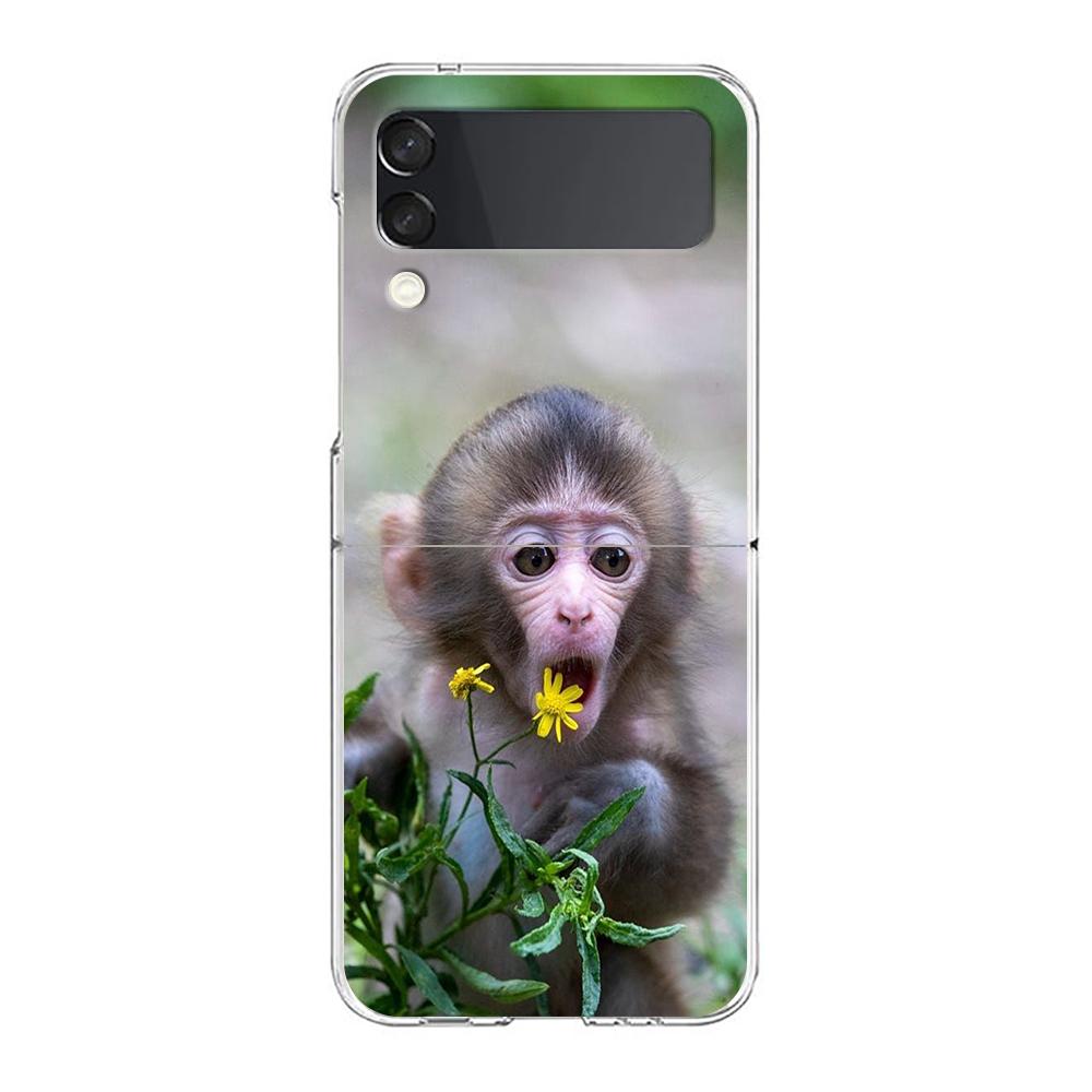 Transparent Phone Case For Samsung Galaxy Z Flip 3 4 5 6 7 Hard Folding PC Z Flip3 Flip4 Cover Cute Funny Monkey