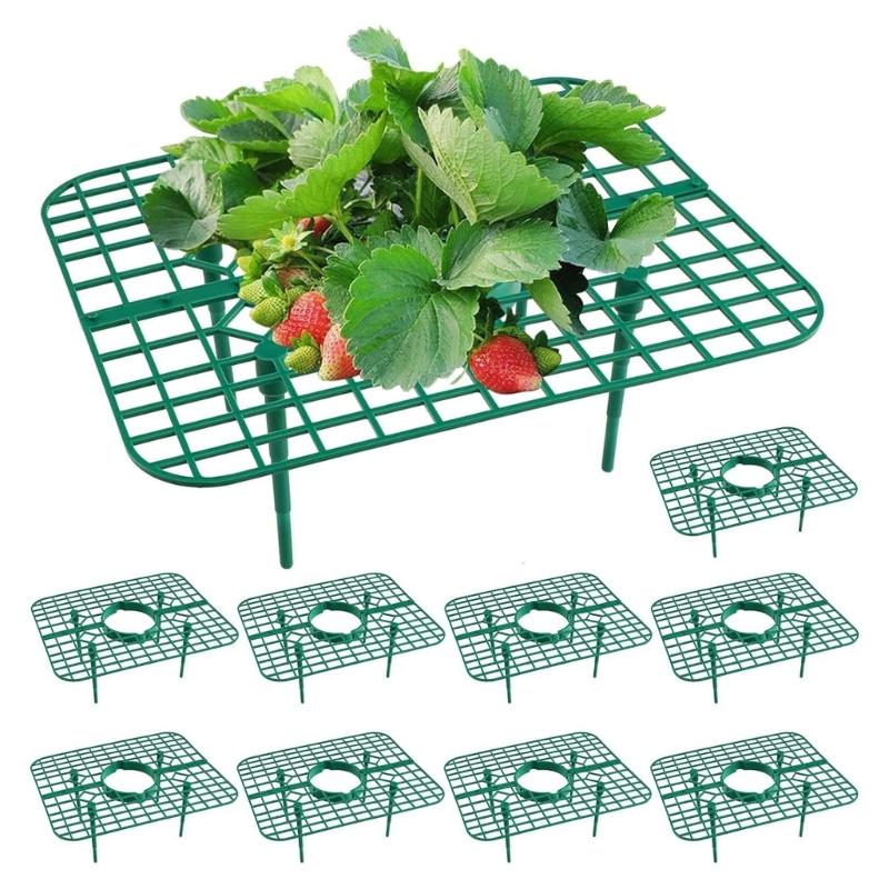 10Pcs Strawberry Growing Racks Support Stand Protector Strawberry Growing Frame Protecting Climbing Tray Support