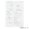Maruman Smart Review B5 Support 39 50 Pack of 10 Loose-Leaf Notepad, Ruled, Lines, Sheets, 6mm, L1247,