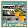 Archnote Food Sample Fruit Pineapple Display Figurine, Realistic, 2 Pieces