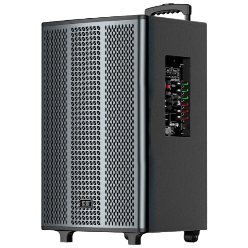 Suoai SA-Q11 15-inch Portable Outdoor Bluetooth Karaoke Speaker