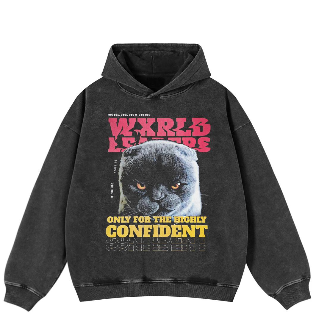 

Уличная одежда Графика кошки Боковые карманы Пуловер Унисекс Оверсайз Выстиранный черный Худи XL чёрный