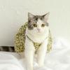 Soft Cat Suspender Skirt Breathable Dog Vest Fashion Dog Floral Dress  Spring Summer