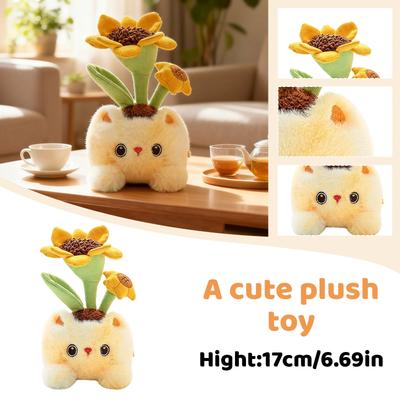 Plush Toys, Cute And Perfect Birthday Gifts For Friends And Classmates, Graduation Gifts