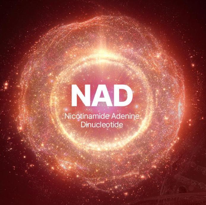 NAD+ Glow Boost Cream for Radiant & Revitalized Skin