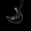 5Pcs Transparent Dental C-Shape Plastic Cheek Retractor Lip Mouth Opener Intraoral Dentist Orthodontic Tool For Tooth Whitening