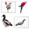 Bird Supply 30/40x26cm Pigeon Loft Door Removable Trapping Pigeon Entrance Door Single Entrance Trap Door Bird Cage