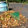 Garden Thatch Rake 16-Teeth Wide Coverage Rake Head Easy To Install Grass Rake Head for Lawns Fallen Leaves Dead Grass