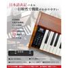 Longeye Electronic Piano 88-Key MOLD2 (Oak Beige-Set)