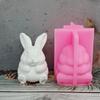 Easter Candle Mold High-Quality Silicone Rabbit Candle Mold Plaster Rabbit Ornament Food-Grade Aromatherapy Candle Mold