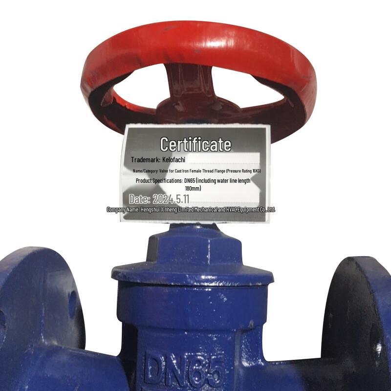 KLUOFAQI Ductile Iron Flanged Gate Valve