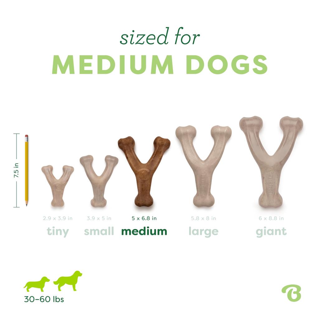 Benebone Bacon Flavor Bone-Shaped Dog Chew Toy, Medium Size