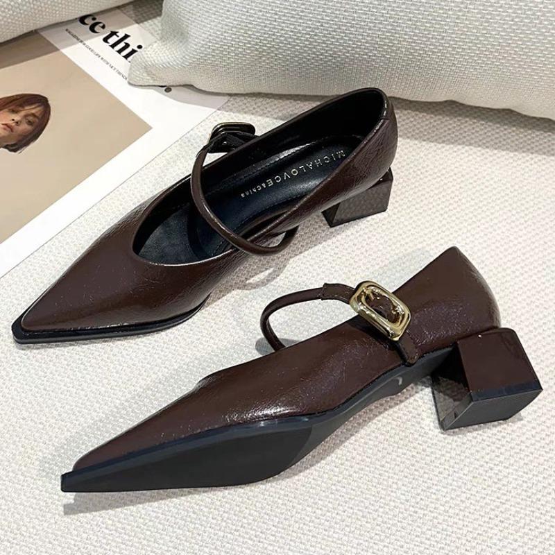 Fashion New Spring Style Pointed Toe Square Heel Versatile Style Single Shoes Women's Shoes Medium Professional Buckle Dress High Heels