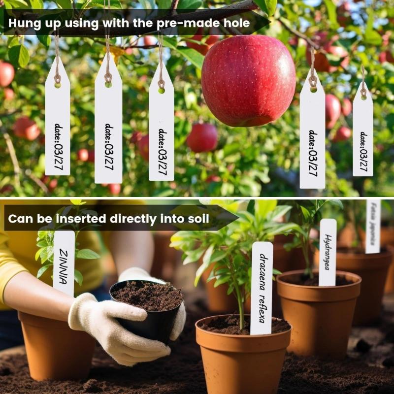 Safe Plant Labels Sign Holder Pack Of 101 With Writing Tool For Tracking Growth Of Vegetables Herbs Flowers Harvests