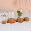 Customizable Modern Design Handmade Clear Glass Bell Jar Bell Dome Wooden Cork Base Tabletop Vase for Decorative Use DIY