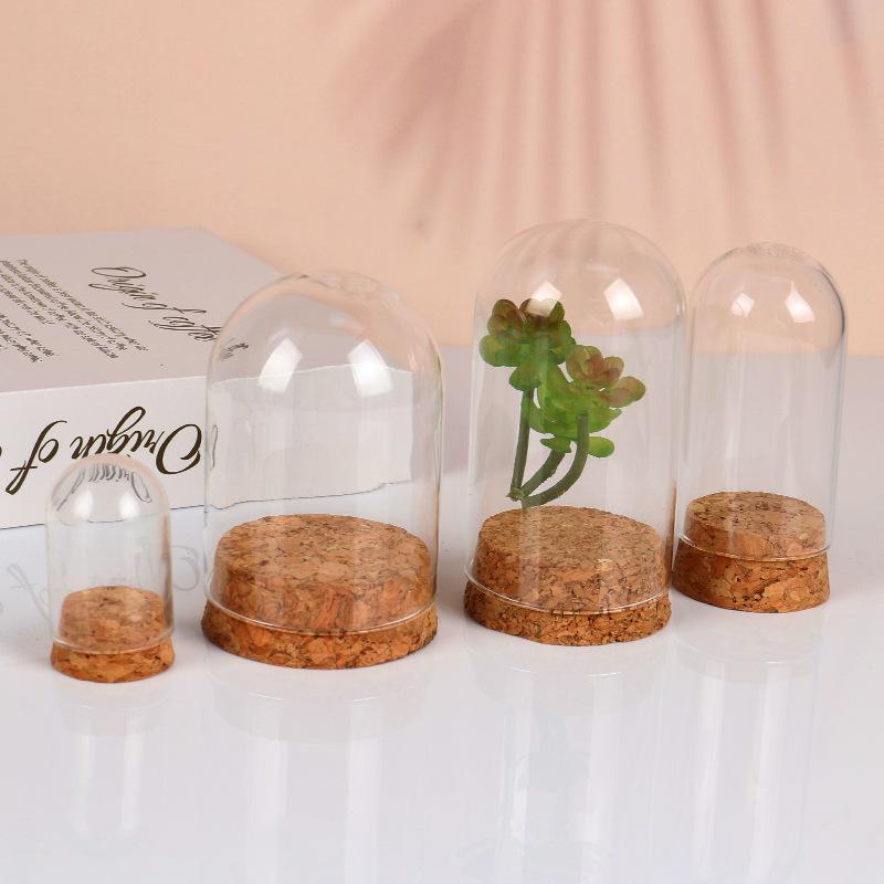 Customizable Modern Design Handmade Clear Glass Bell Jar Bell Dome Wooden Cork Base Tabletop Vase for Decorative Use DIY