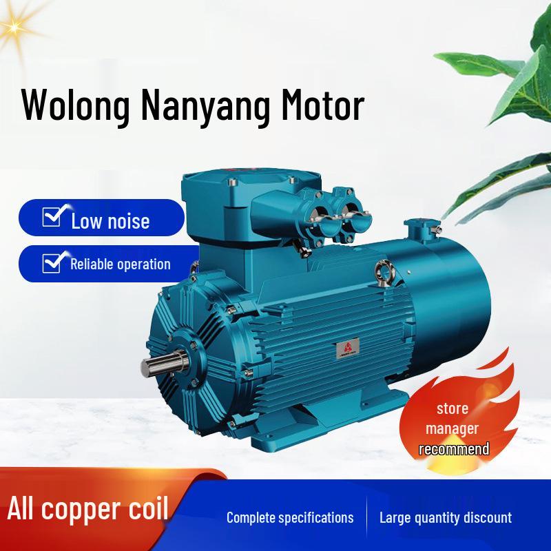 Wolong Nanyang Low-Voltage Variable Frequency Three-Phase Asynchronous Motor with Full Copper Coil.