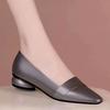 Premium shallow single shoes women's 2025 autumn new comfortable soft sole thick heel work leather shoes flat women's shoes