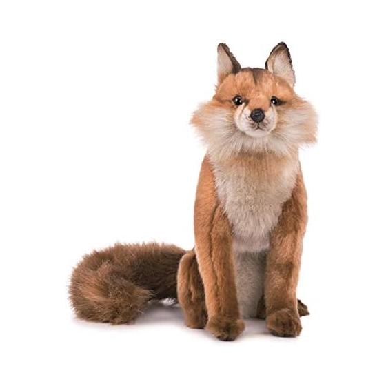 Hansa Red Fox 30 № 6098