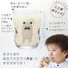Strong Child Glass S Panda Sento Set of 4 In Kraft Box Made In Japan Durable Tupera Tupera Tableware Reinforced Glass Birthday Gift Present Easy To
