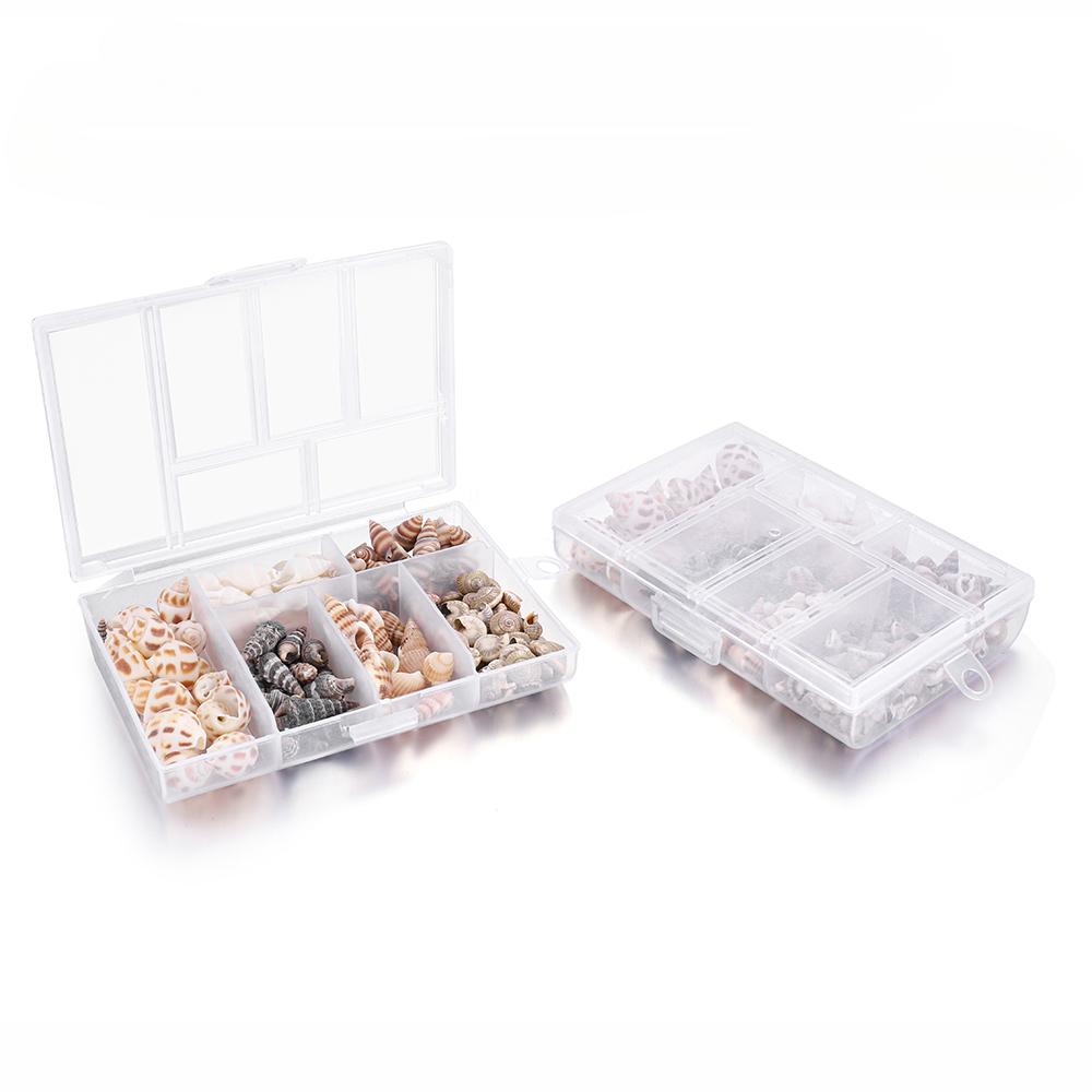 100pcsbox Natural About Mix Sea Shells Mini Conch Corn Screw Material Natural Craft For Jewelry Making Accessories Findings