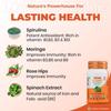 Nutrela Daily Energy Biofermented B Complex 30 Capsules x Pack Of 2 For Men Women Metabolism Support Vitality Supplement