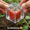 Molds for Cultivating Uniquely Shaped Fruits - Designed to Create Distinctive Shapes for a Variety of Fruits, Including Strawberries, Tomatoes