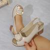 Large Size Women's Sandals 2025 Summer New Comfortable Height Increase Chunky Heels Buckle Strap Luxury Elegant Pumps