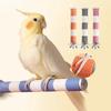 20/15/12CM Pet Parrot Bird Claw Beak Grinding Perches Stand Rack Claw Grinding Stick Cage Pigeon Accessories