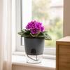 5Pcs/2pcs Self Watering Plastic Flower Pot Double Layer Hydroponics Plants Bonsai Pot Vases Succulent Potted Home Office Decor