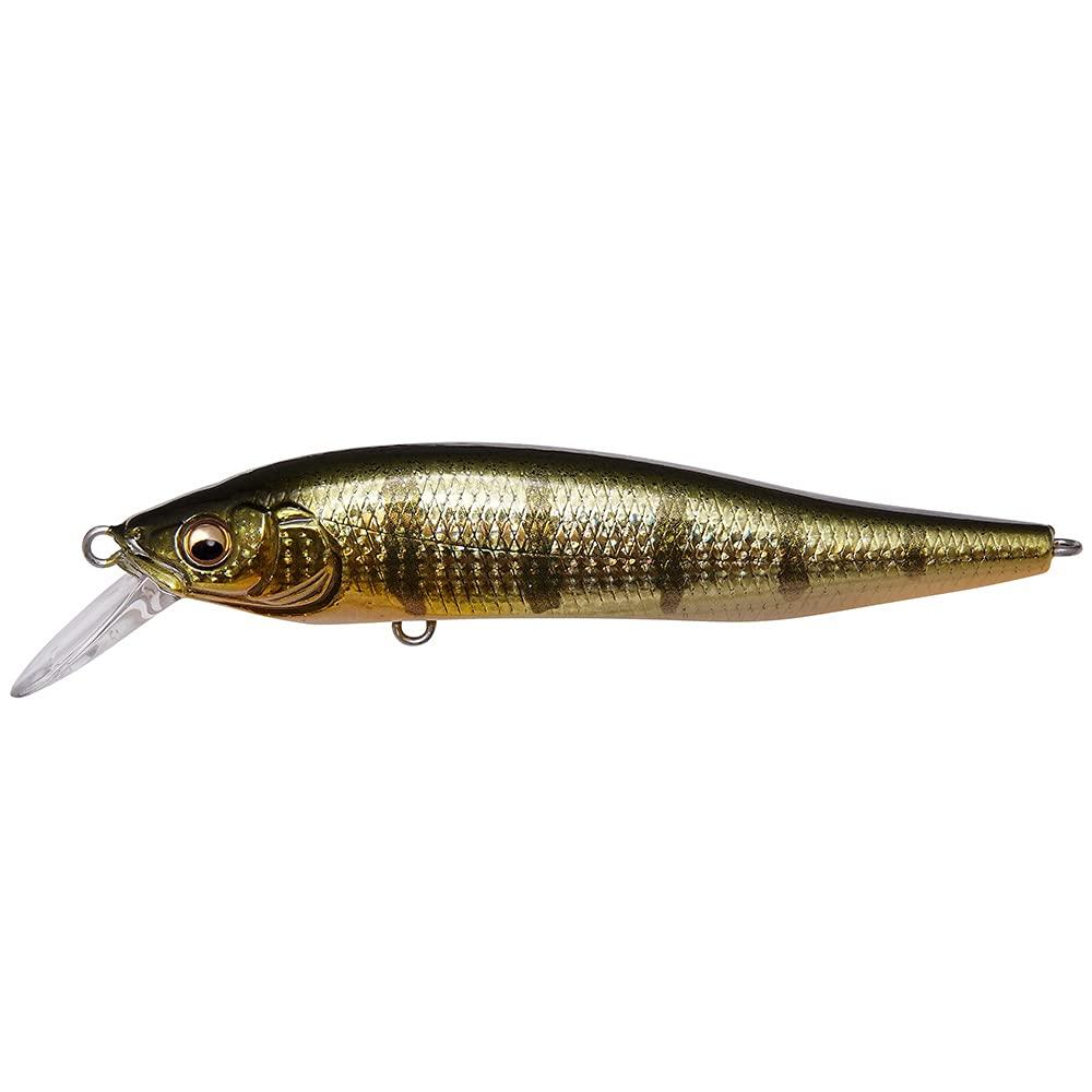 

Megabass GG Baby Perch X-NANAHAN