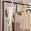 Angled Closet Accessory Rack, White Plastic Double Sided Hanger Holder for Scarves Belts and Closet Storage Use