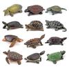 Cross-Border Amphibian Reptile Figurine - Alligator Snapping Turtle, Red-Eared Slider, Musk Turtle, Chinese Softshell Figurine Toy