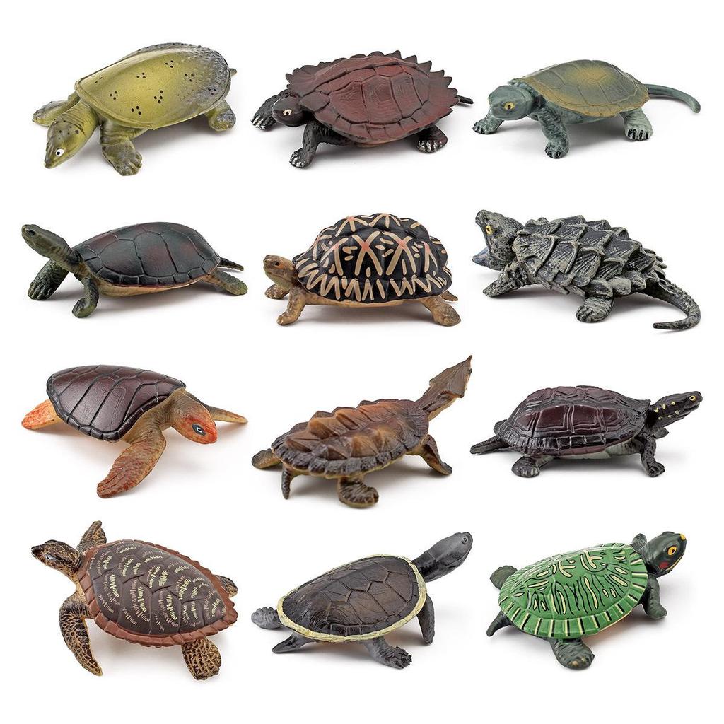 Cross-Border Amphibian Reptile Figurine - Alligator Snapping Turtle, Red-Eared Slider, Musk Turtle, Chinese Softshell Figurine Toy