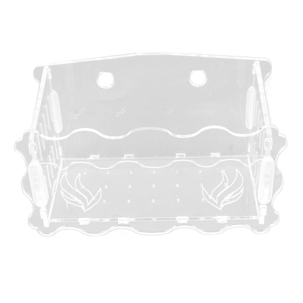 Pflanzbecher Acryl Transparent Durchlässiges Loch Sicher Blumentopf mit Saugnapf für Fische