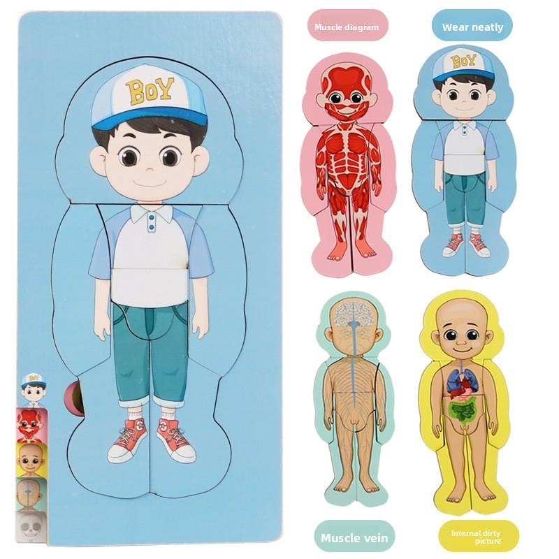Organs Human Body Structure Jigsaw Puzzle Educational Toy For Kids Learning