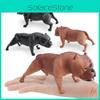 American Bully Pitbull Pvc Djurmodell För Barnlärande Och Heminredning