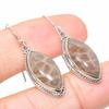 Natural Fossil Coral Gemstone 925 Solid Sterling Silver Gift Earring 1.50" y0T86