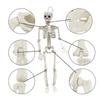 Skeletons Halloween Decorations Posable Skeleton Movable Joint Full Body Realistic Skeleton Spooky Human Bones Halloween
