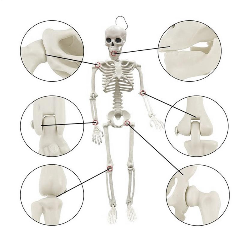 Skeletons Halloween Decorations Posable Skeleton Movable Joint Full Body Realistic Skeleton Spooky Human Bones Halloween