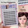 Eyelash Book: Adhesive-Free False Eyelashes - 10 Rows of Individual Upper & Lower Clusters for Beauty Makeup