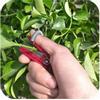 Vegetable Thump Knife Separator Vegetable Fruit Harvesting Picking Tool for Farm Garden Orchard #40