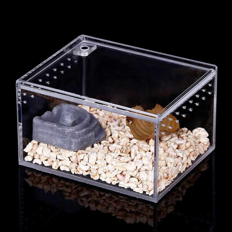 Reptile Box Feeding Small Pet Horned Spider Lizards Snail Snake Clear Designed Box Geckos Silkworms Insect Snake House